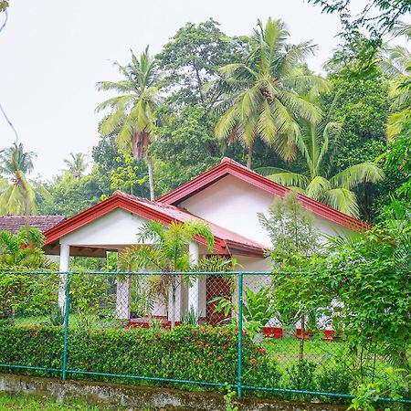 Villa Ravichini Polonnaruwa Ngoại thất bức ảnh